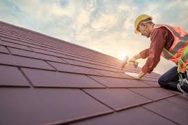 Best Roof Maintenance and Cleaning  in Mesquite, TX